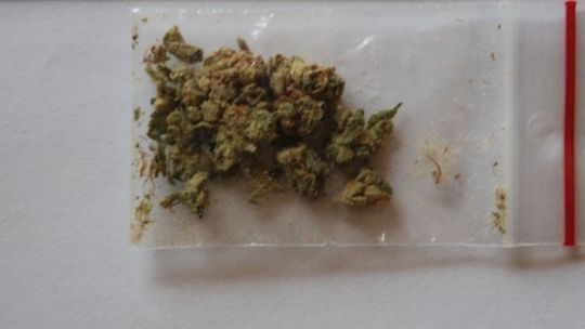 21-latek z narkotykami 