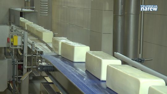 25 ton mozzarelli. Zakład produkcyjny Mlekpolu w Kolnie jednym z nielicznych w kraju  [VIDEO]