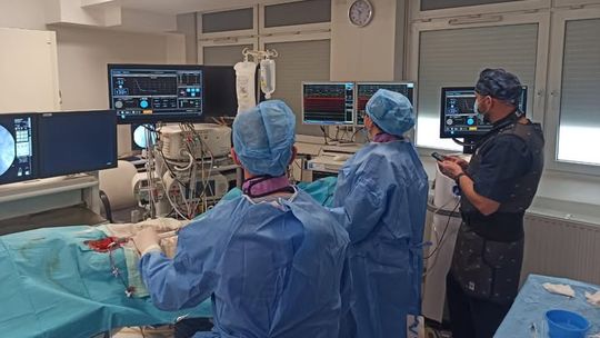 Ablacja serca w pracowni elektrofizjologii w Szpitalu Wojewódzkim w Łomży