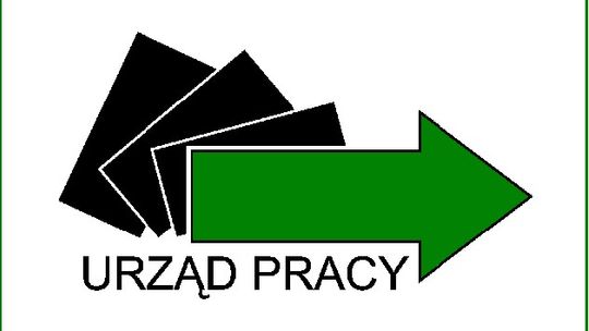 Aktualne oferty pracy