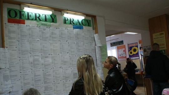 Aktualne oferty pracy Powiatowego Urzędu Pracy w Łomży