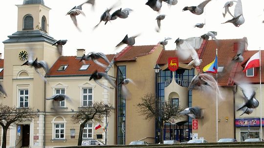 Artysta rzeźbi, odlewnie się nie wyrabiają, a miasto szuka sponsora