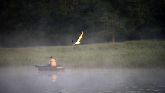 Będzie nowe na Narwi i Pisie?