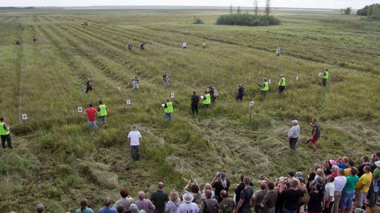 Biebrzańskie Sianokosy - już w sobotę 