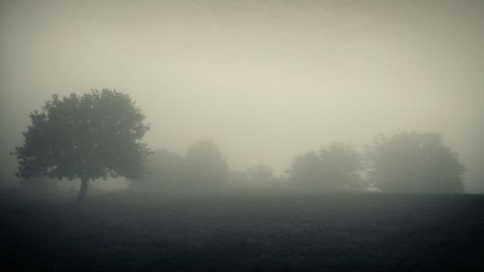 Cała Polska w zimnej bieli