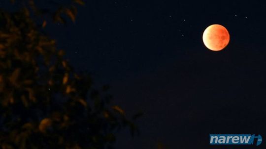 Całkowite zaćmienie Księżyca - VIDEO
