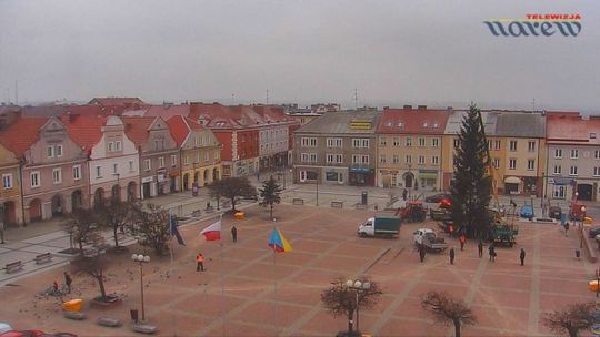 Choinka już na Starym Rynku - VIDEO