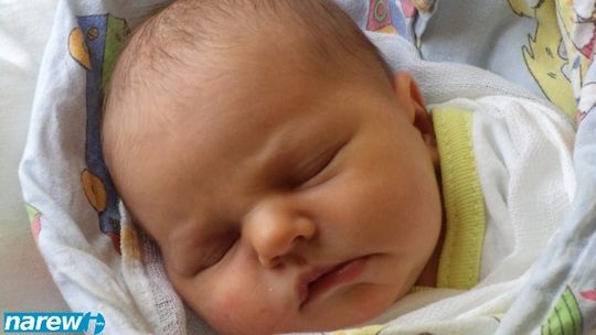 Dzień dobry, już jestem! Dzień dobry, już jestem!