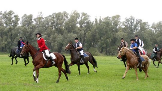 Dzień świętego Huberta, patrona myśliwych