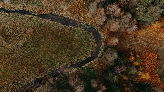 „Ekologiczne praktyki we wsi Zabiele przykładem dla innych” - rozstrzygniecie oferty złożonej z pominięciem otwartego konkursu ofert