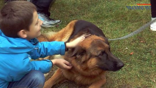 Festyn "Pupile Wety" - VIDEO