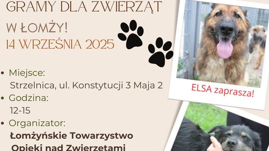 Gramy dla zwierząt w Łomży! - [VIDEO]