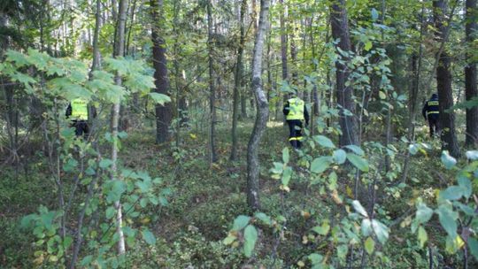  Grzybiarza szukała Policja, Straż Pożarna i sąsiedzi