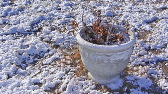 Idą dni ze śniegiem