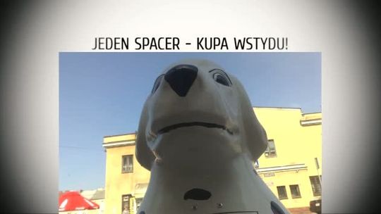 Jeden spacer kupa wstydu - CZYSTA ŁOMŻA