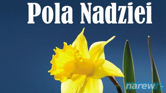 Jutro "Pola Nadziei" w Venedzie