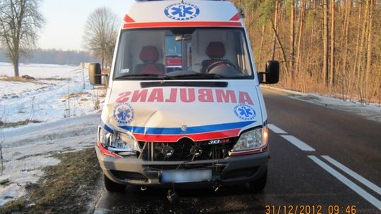 Karetka pogotowia zderzyła się z łosiem