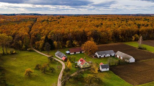 Konkurs „Gospodarstwo moich rodziców jest Eko i dba o środowisko”