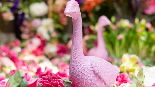 Konkurs „Nasze Podwórko” – uczniowie zmieniają swoje otoczenie!