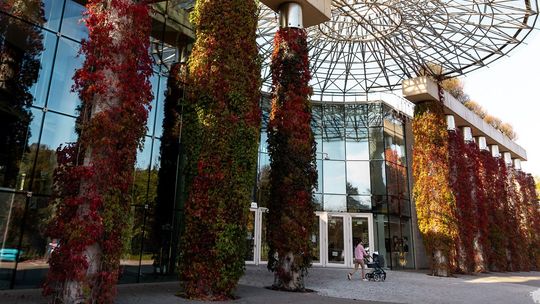 Kopciuszek albo tryumf dobroci