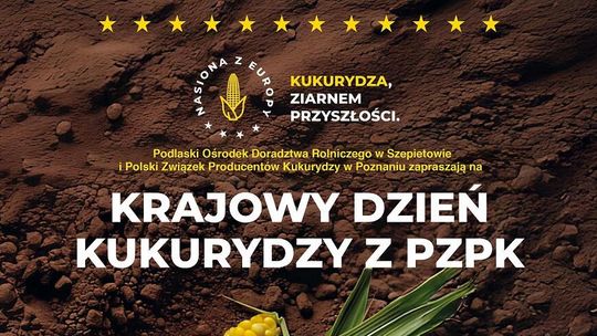 Krajowy Dzień Kukurydzy w Szepietowie – zobacz 139 odmian na jednym polu