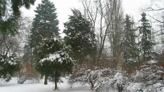 Łagodna zima  - kto zyskuje, kto traci ?