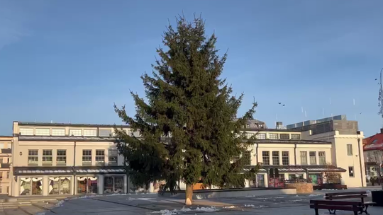 Magia Świąt na Starym Rynku w Łomży! Na Starym Rynku pojawiła się choinka! [VIDEO]