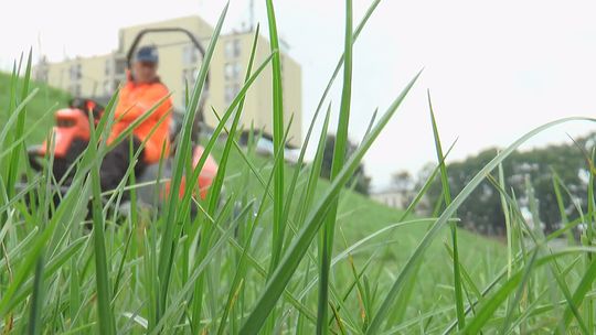 Maszyna do wszystkiego dla firmy, która robi wszystko - VIDEO