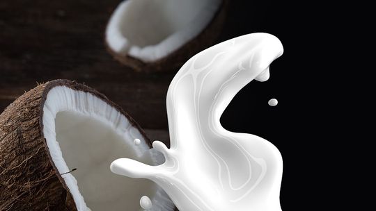 Mleko kokosowe w proszku - czy to dobry zamiennik dla tradycyjnego mleka?