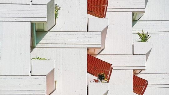 Modne i funkcjonalne żaluzje