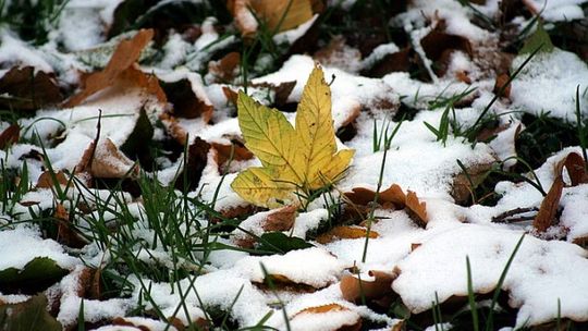 Mrozy jeszcze nam nie grożą, ale może spaść śnieg