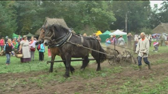 Muzeum w Ciechanowcu - "Jesień w polu i zagrodzie" - VIDEO