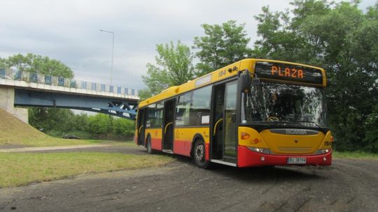 Na plażę czerwoniakiem