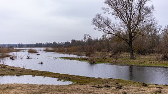 Nabór wniosków o dotacje dla spółek wodnych na inwestycje w 2026 roku