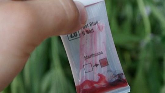 Odpowie za przetwarzanie środków odurzających