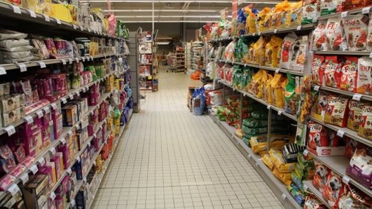 Odpowiedzą za kradzież