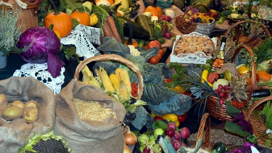 „Ogrody warzywne i bylinowe - zimowe przygotowania do wiosny” rozstrzygniecie oferty złożonej z pominięciem otwartego konkursu ofert