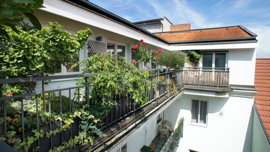 Osłony na balkon – jak wybrać te najlepsze? 