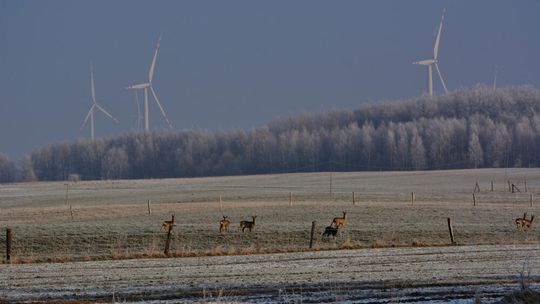 Parki wiatrowe na pograniczu Mazowsza i Podlasia tylko w dialogu z mieszkańcami i samorządami Parki wiatrowe na pograniczu Mazowsza i Podlasia tylko w dialogu z mieszkańcami i samorządami