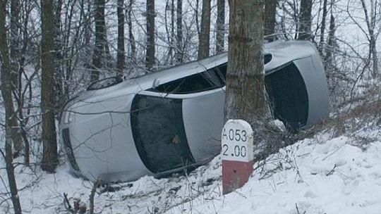 Passat wjechał do rowu