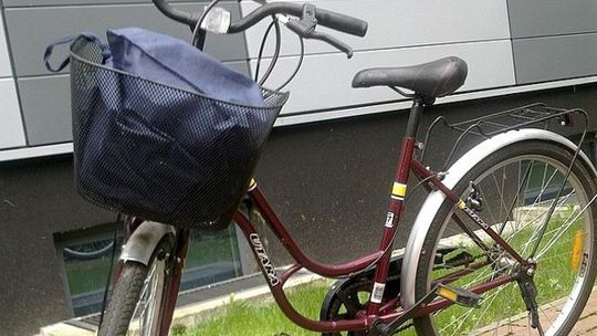 Pies doprowadził do złodziei roweru