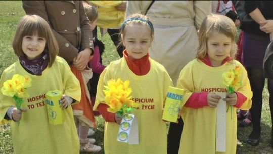 "Pola Nadziei" - kwesta na rzecz hospicjów