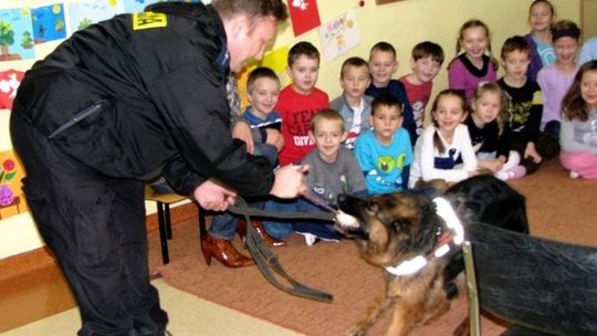 Policyjne psy w szkole  