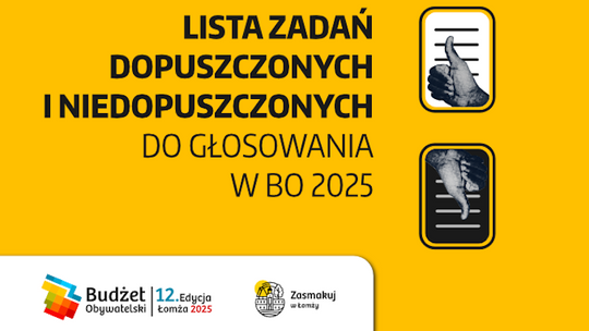 Pomysły mieszkańców na Budżet Obywatelski 2025