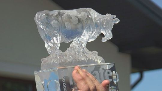 Ponad milion litrów mleka - VIDEO