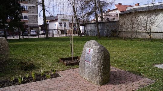 Przedsiębiorca chce odebrać dzieciom miejsce do zabawy i rekreacji 