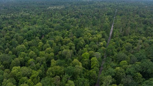 Przegadajmy Puszczę. Nowy cykl edukacyjny