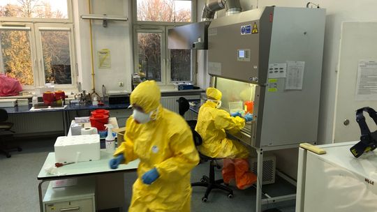 Rusza laboratorium Uniwersytetu Medycznego w Białymstoku (UMB) wykrywające koronawirusa [VIDEO]