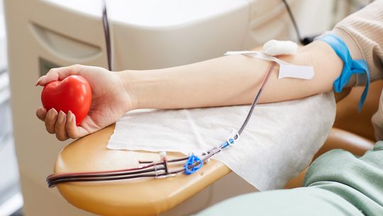 Rząd zachęca do oddawania krwi, ale na koszt pracodawców