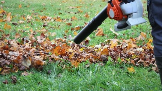 Sezon jesienny- jak zadbać o ogród w 5 krokach?